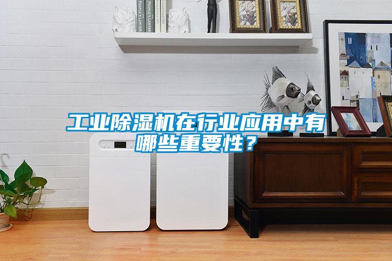 工業(yè)除濕機在行業(yè)應用中有哪些重要性？