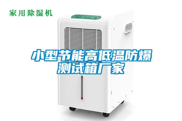 小型節能高低溫防爆測試箱廠(chǎng)家