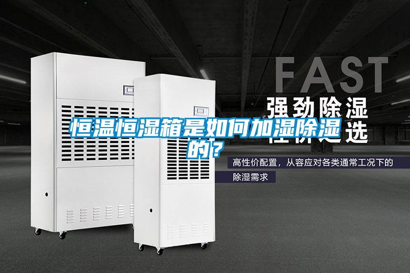 恒溫恒濕箱是如何加濕除濕的？