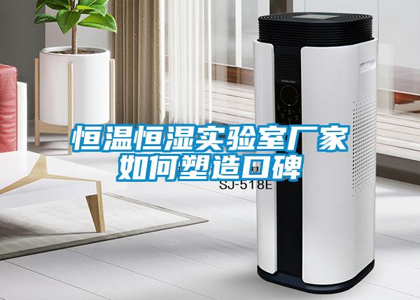 恒溫恒濕實(shí)驗室廠(chǎng)家如何塑造口碑