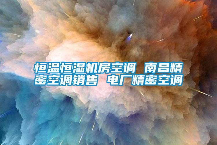 恒溫恒濕機房空調 南昌精密空調銷(xiāo)售 電廠(chǎng)精密空調