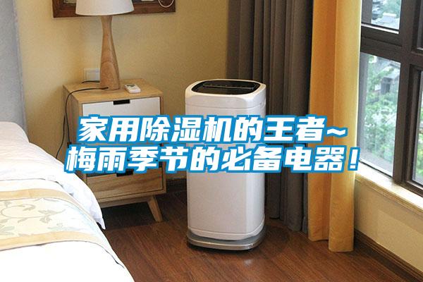 家用除濕機的王者~梅雨季節的必備電器！