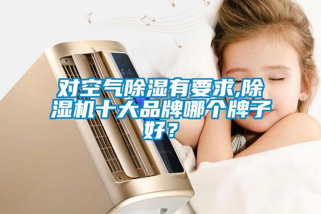 對空氣除濕有要求,除濕機十大品牌哪個(gè)牌子好？