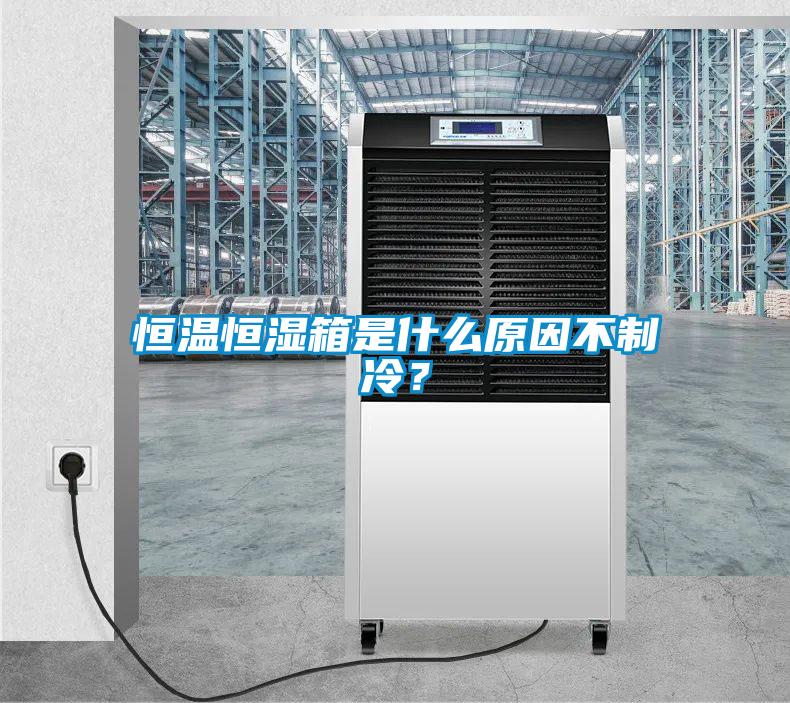 恒溫恒濕箱是什么原因不制冷？
