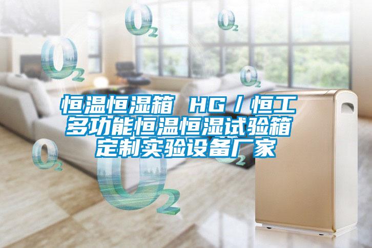 恒溫恒濕箱 HG／恒工 多功能恒溫恒濕試驗箱 定制實(shí)驗設備廠(chǎng)家