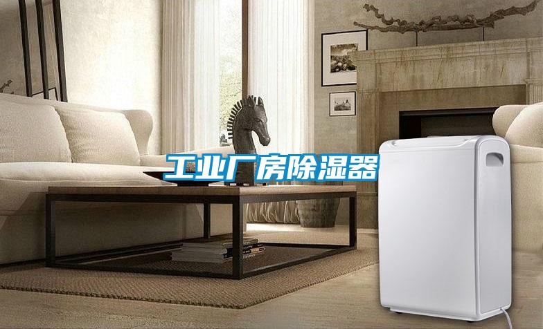 工業(yè)廠(chǎng)房除濕器