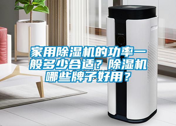 家用除濕機的功率一般多少合適？除濕機哪些牌子好用？
