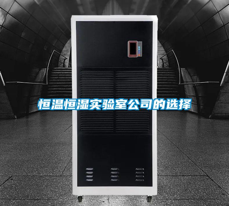 恒溫恒濕實(shí)驗室公司的選擇