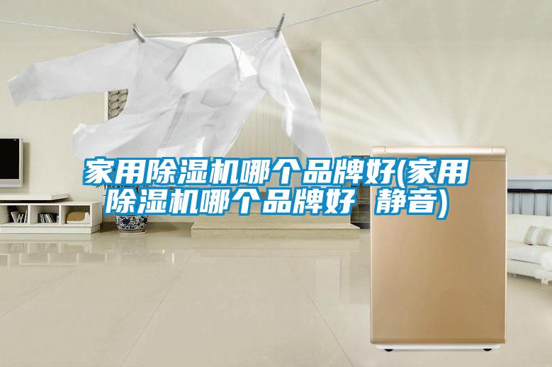 家用除濕機哪個(gè)品牌好(家用除濕機哪個(gè)品牌好 靜音)