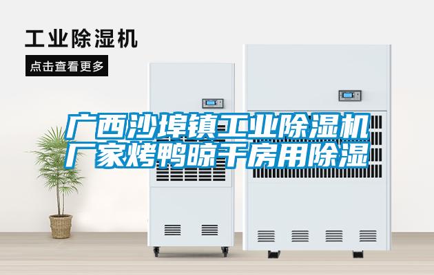 廣西沙埠鎮工業(yè)除濕機廠(chǎng)家烤鴨晾干房用除濕