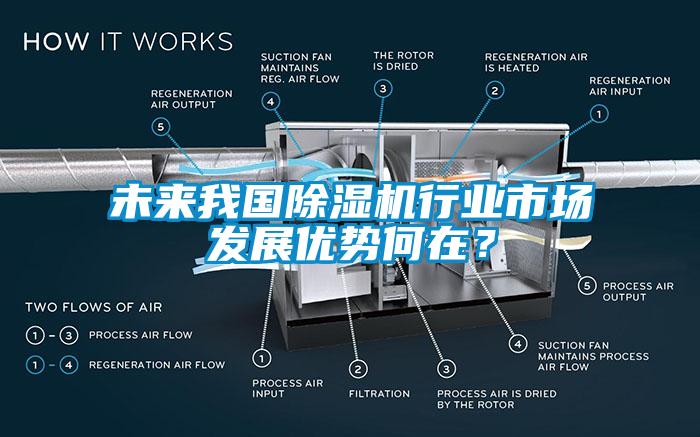 未來(lái)我國除濕機行業(yè)市場(chǎng)發(fā)展優(yōu)勢何在？
