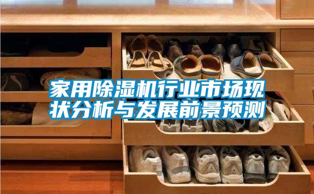 家用除濕機行業(yè)市場(chǎng)現狀分析與發(fā)展前景預測