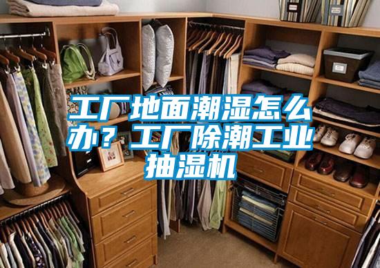 工廠(chǎng)地面潮濕怎么辦？工廠(chǎng)除潮工業(yè)抽濕機