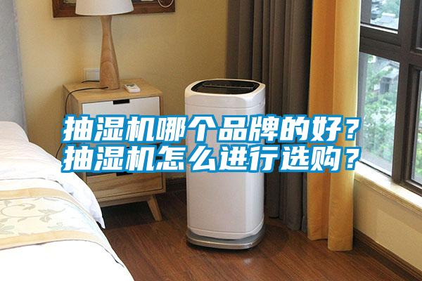 抽濕機哪個(gè)品牌的好？抽濕機怎么進(jìn)行選購？