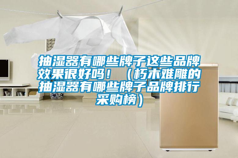 抽濕器有哪些牌子這些品牌效果很好嗎?。ㄐ嗄倦y雕的抽濕器有哪些牌子品牌排行采購榜）