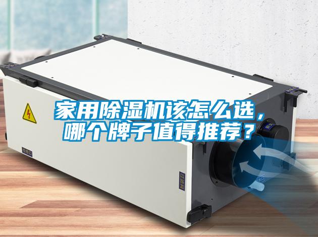 家用除濕機該怎么選，哪個(gè)牌子值得推薦？
