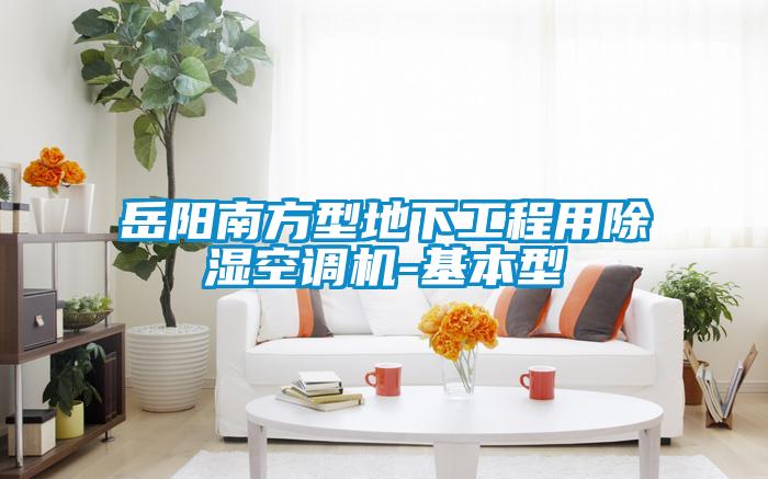 岳陽(yáng)南方型地下工程用除濕空調機-基本型