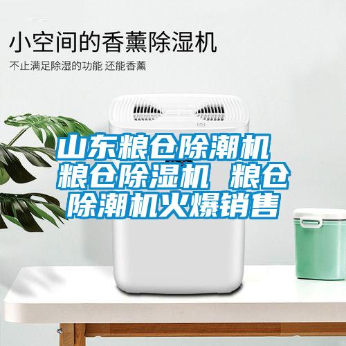 山東糧倉除潮機 糧倉除濕機 糧倉除潮機火爆銷(xiāo)售