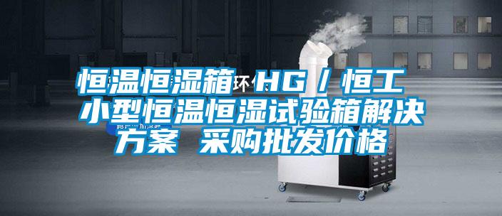 恒溫恒濕箱 HG／恒工 小型恒溫恒濕試驗箱解決方案 采購批發(fā)價(jià)格