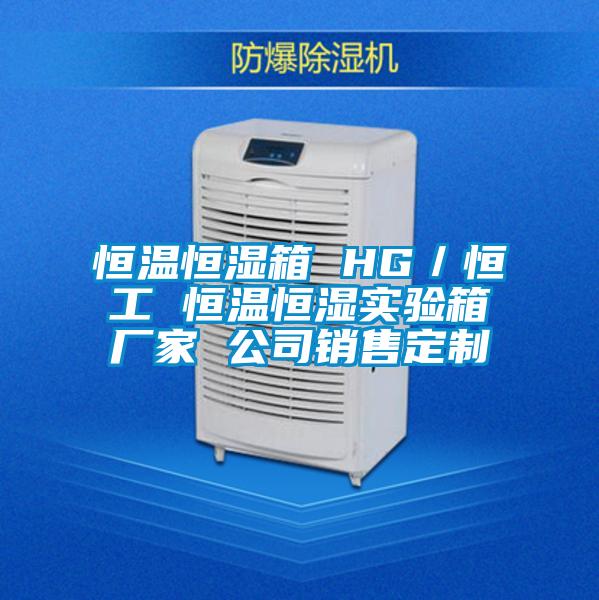 恒溫恒濕箱 HG／恒工 恒溫恒濕實(shí)驗箱廠(chǎng)家 公司銷(xiāo)售定制