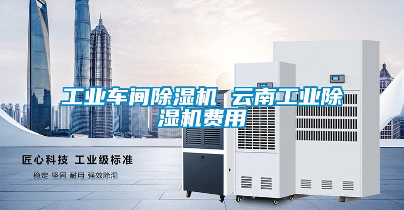 工業(yè)車(chē)間除濕機 云南工業(yè)除濕機費用