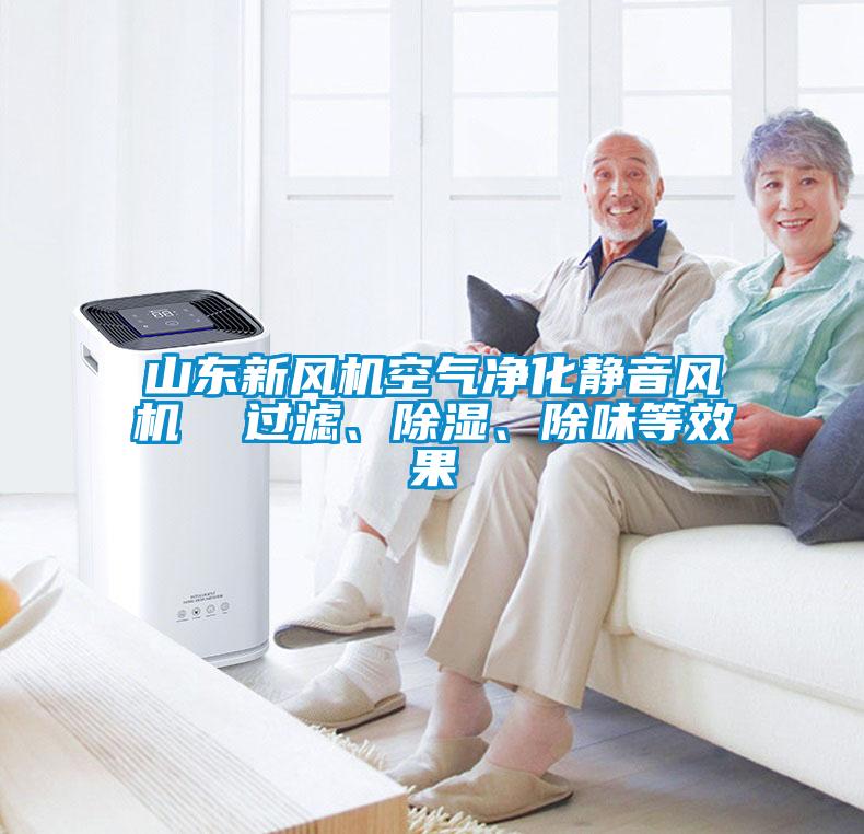 山東新風(fēng)機空氣凈化靜音風(fēng)機  過(guò)濾、除濕、除味等效果