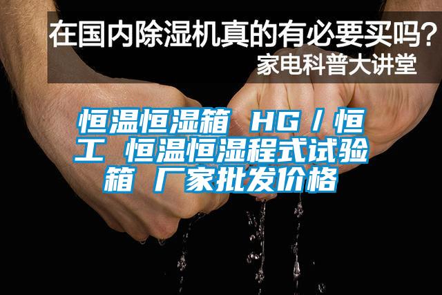 恒溫恒濕箱 HG／恒工 恒溫恒濕程式試驗箱 廠(chǎng)家批發(fā)價(jià)格