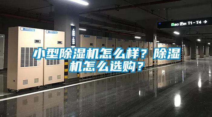 小型除濕機怎么樣？除濕機怎么選購？
