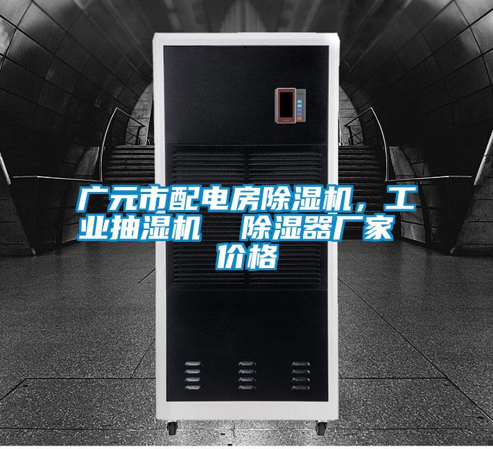 廣元市配電房除濕機，工業(yè)抽濕機  除濕器廠(chǎng)家 價(jià)格