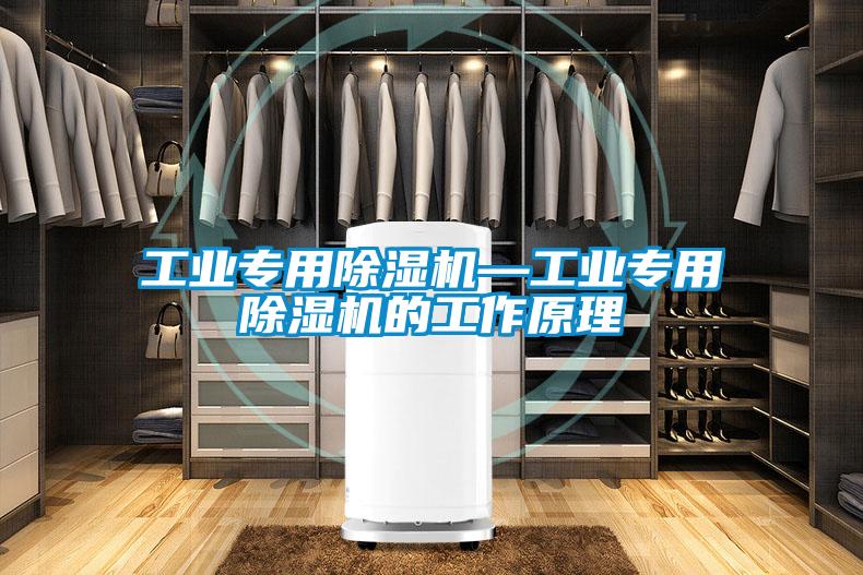 工業(yè)專(zhuān)用除濕機—工業(yè)專(zhuān)用除濕機的工作原理