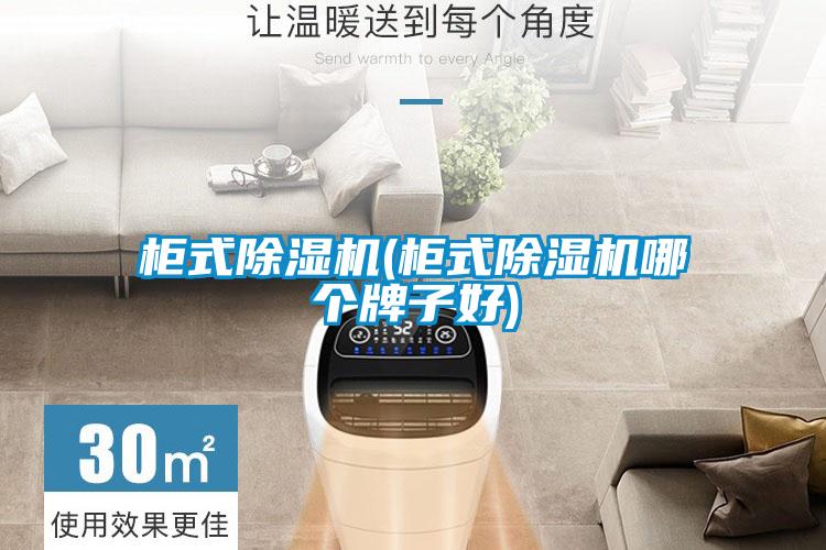 柜式除濕機(柜式除濕機哪個(gè)牌子好)