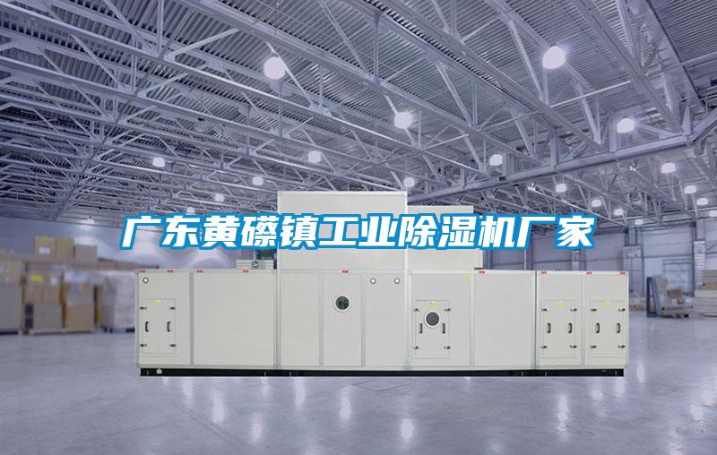 廣東黃礤鎮工業(yè)除濕機廠(chǎng)家