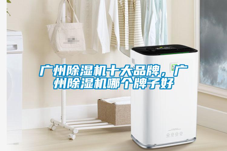 廣州除濕機十大品牌，廣州除濕機哪個(gè)牌子好