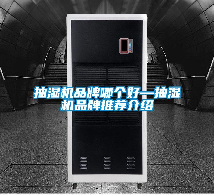 抽濕機品牌哪個(gè)好—抽濕機品牌推薦介紹