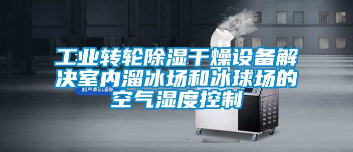工業(yè)轉輪除濕干燥設備解決室內溜冰場(chǎng)和冰球場(chǎng)的空氣濕度控制