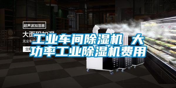 工業(yè)車(chē)間除濕機 大功率工業(yè)除濕機費用