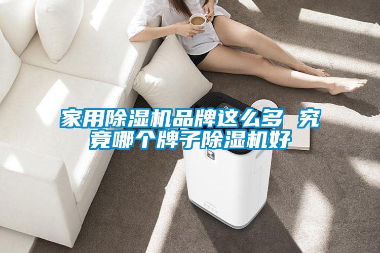 家用除濕機品牌這么多 究竟哪個(gè)牌子除濕機好