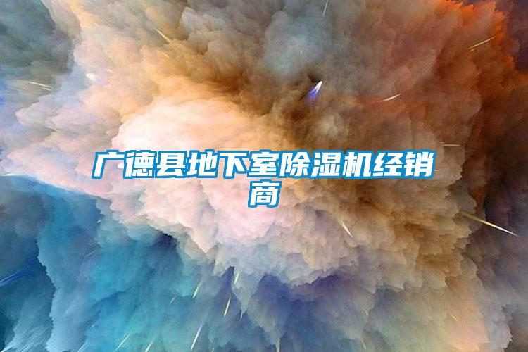 廣德縣地下室除濕機經(jīng)銷(xiāo)商