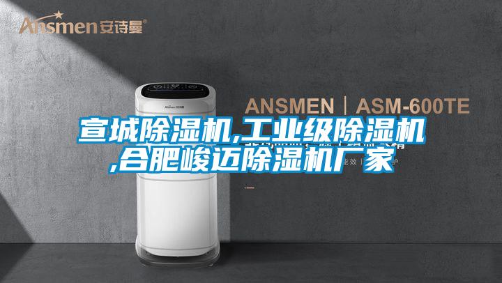 宣城除濕機,工業(yè)級除濕機,合肥峻邁除濕機廠(chǎng)家