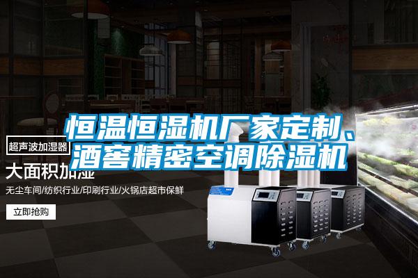 恒溫恒濕機廠(chǎng)家定制、酒窖精密空調除濕機