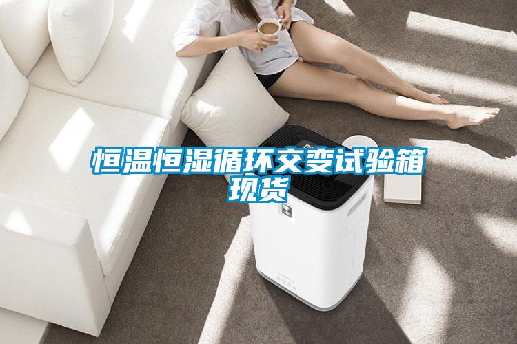 恒溫恒濕循環(huán)交變試驗箱現貨