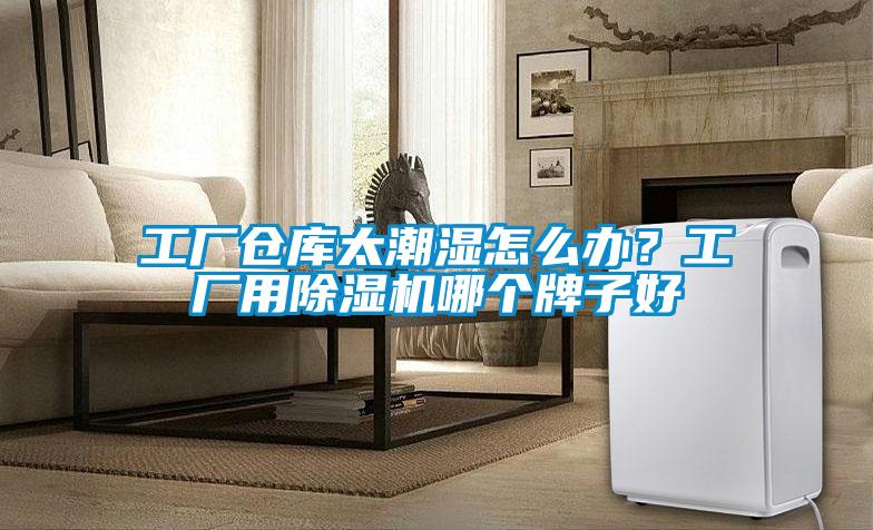 工廠(chǎng)倉庫太潮濕怎么辦？工廠(chǎng)用除濕機哪個(gè)牌子好