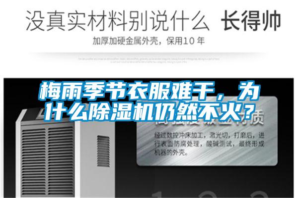 梅雨季節衣服難干，為什么除濕機仍然不火？