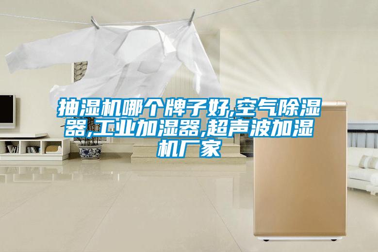 抽濕機哪個(gè)牌子好,空氣除濕器,工業(yè)加濕器,超聲波加濕機廠(chǎng)家
