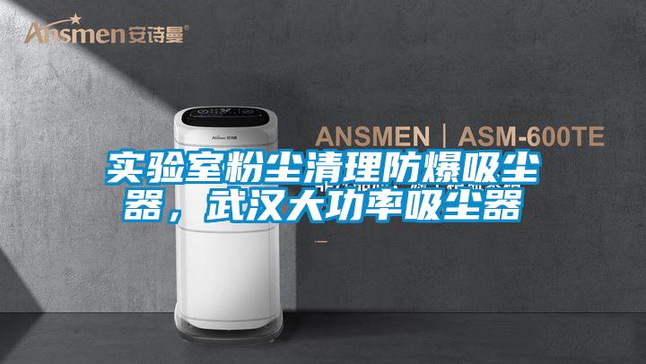 實(shí)驗室粉塵清理防爆吸塵器，武漢大功率吸塵器