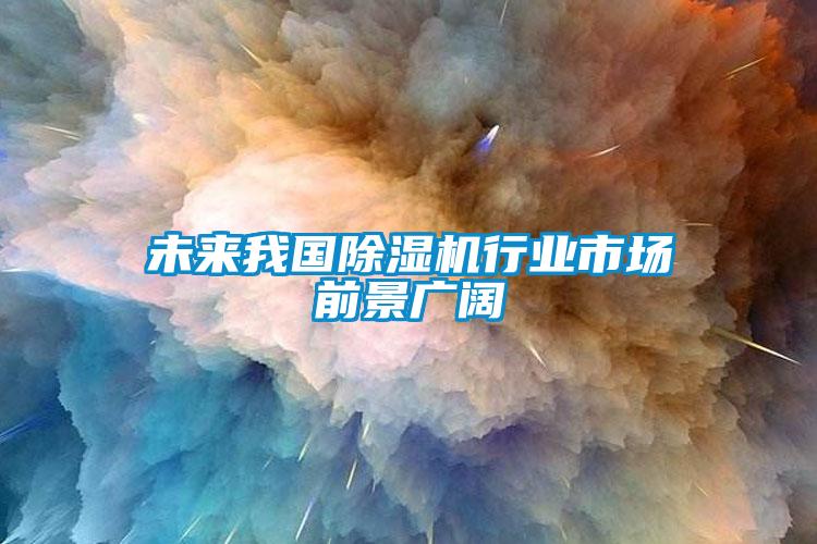 未來(lái)我國除濕機行業(yè)市場(chǎng)前景廣闊