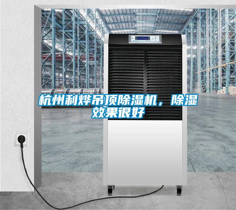杭州利燁吊頂除濕機，除濕效果很好