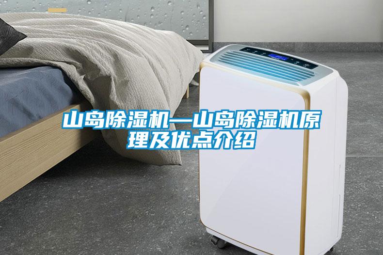 山島除濕機—山島除濕機原理及優(yōu)點(diǎn)介紹