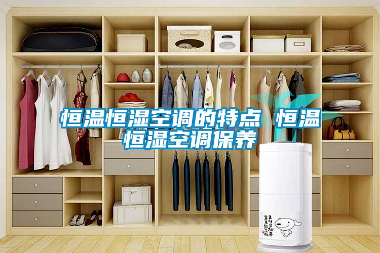 恒溫恒濕空調的特點(diǎn) 恒溫恒濕空調保養