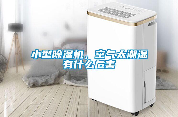 小型除濕機，空氣太潮濕有什么危害